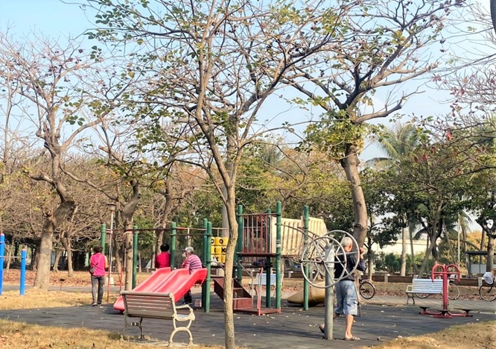 圖3 龍鳳濱海植物公園是大林蒲（邦坑）的親子同樂休閒場所