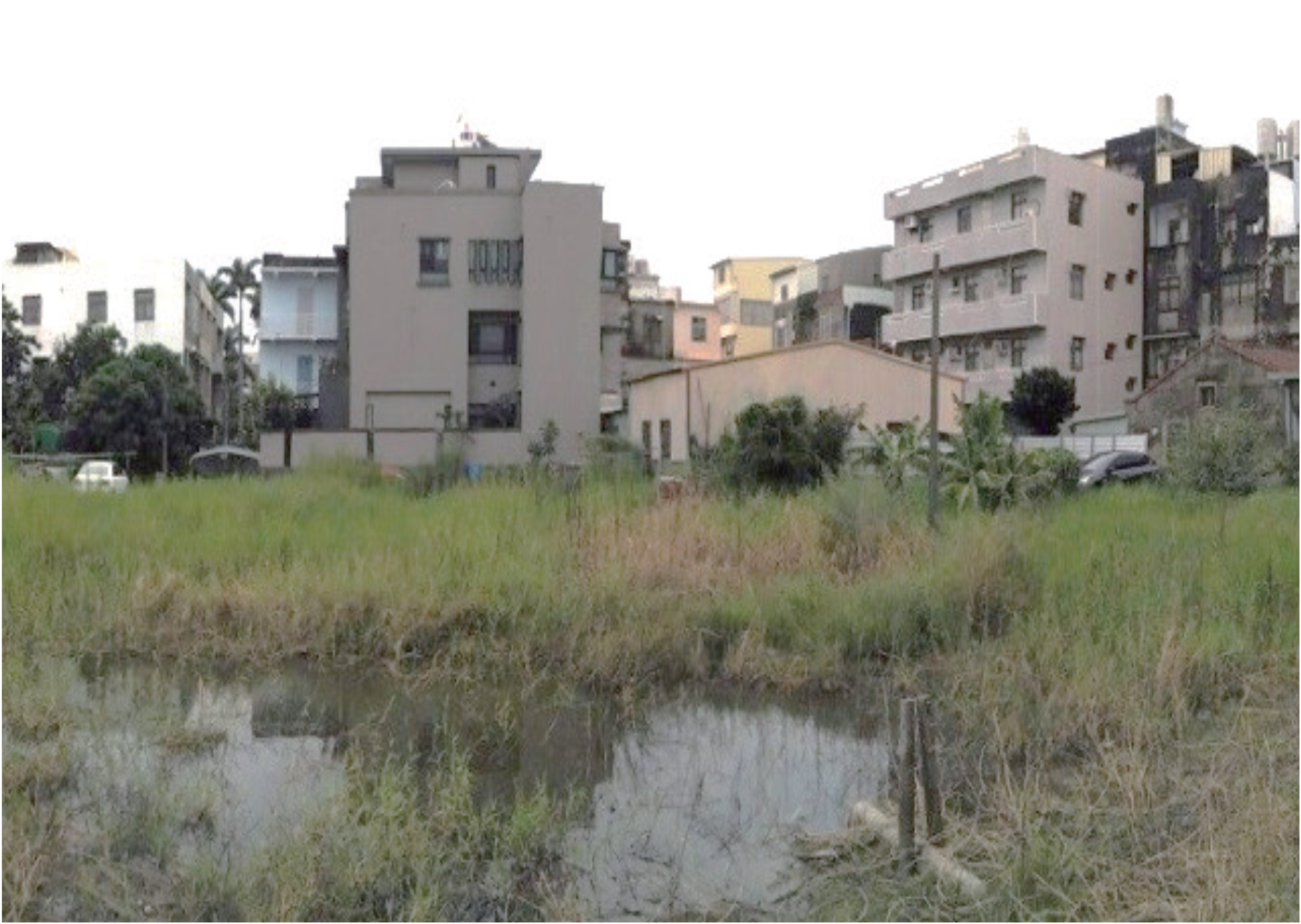 路竹竹東_城市綠洲-改造前是佈滿雜草蚊蟲之積水漥地