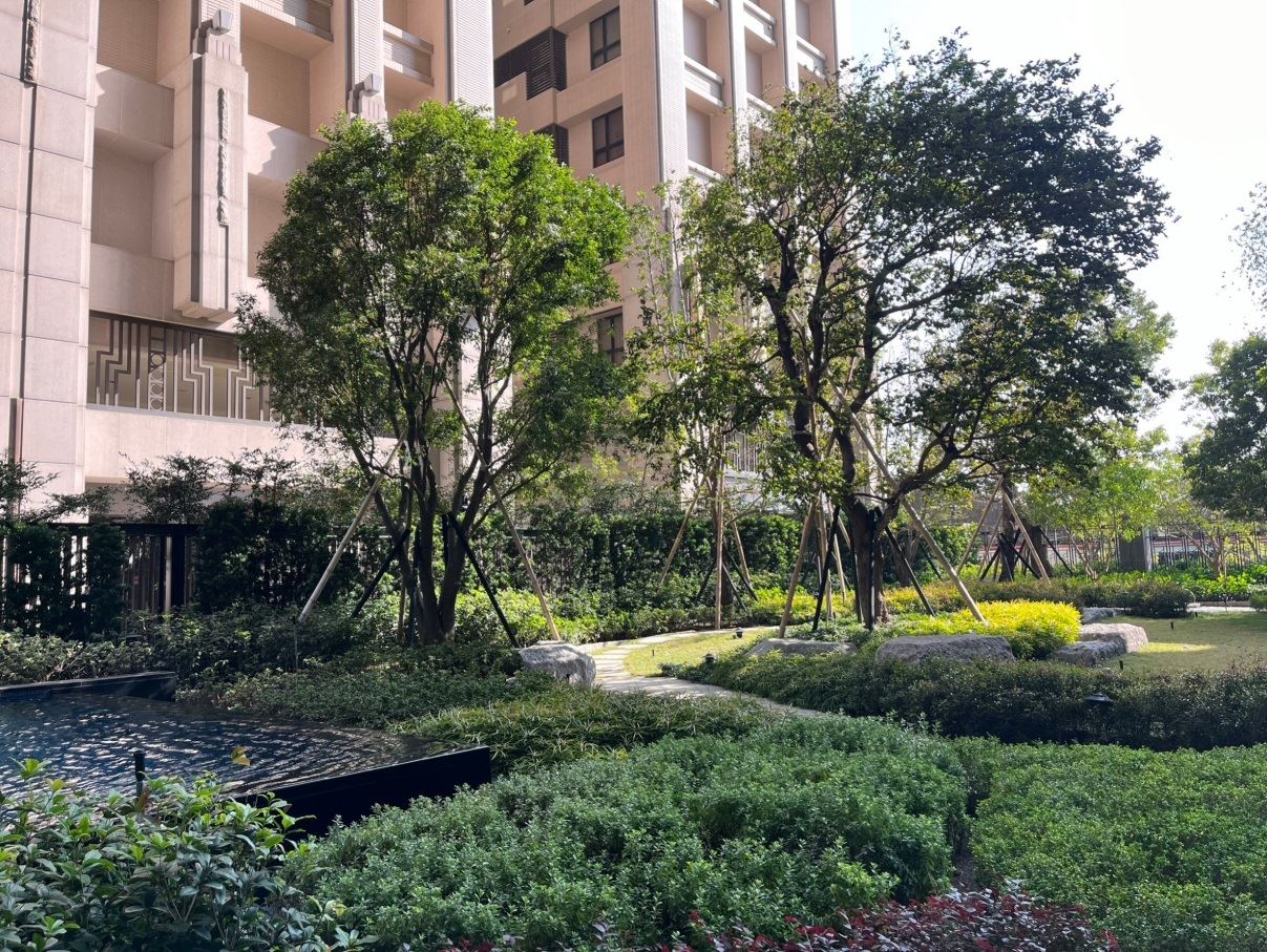 圖4 多層次綠化植栽降溫示意圖